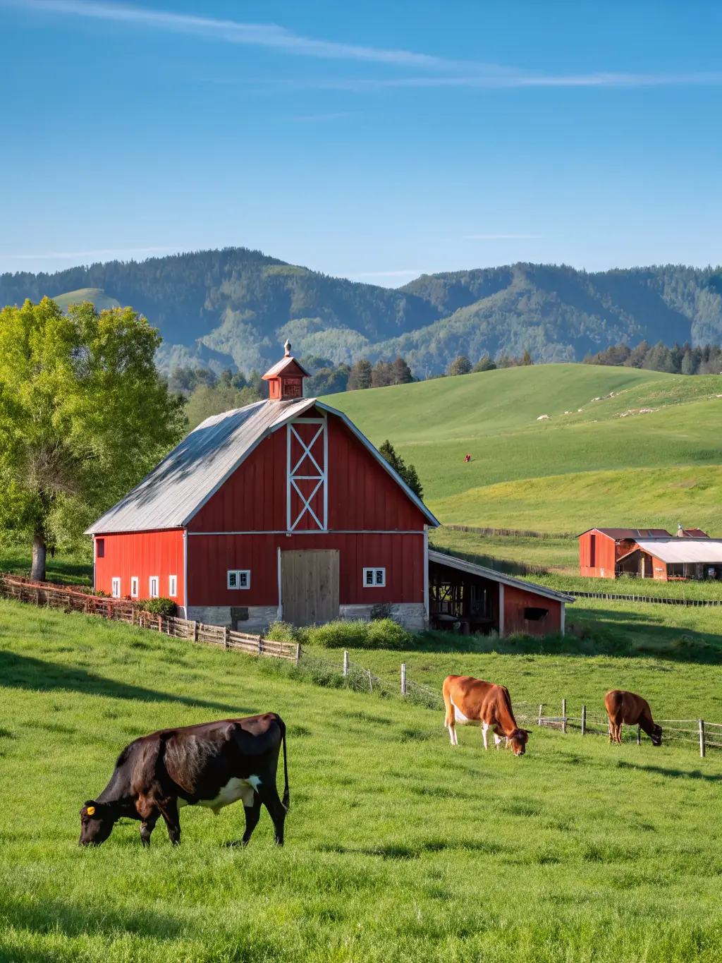 An image of a rural property with a barn, representing a mortgage option for those looking to purchase land or rural properties.